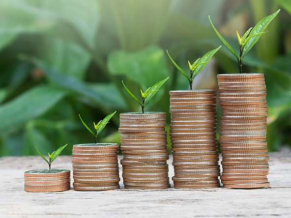 About Advance Finance & Investment Ltd